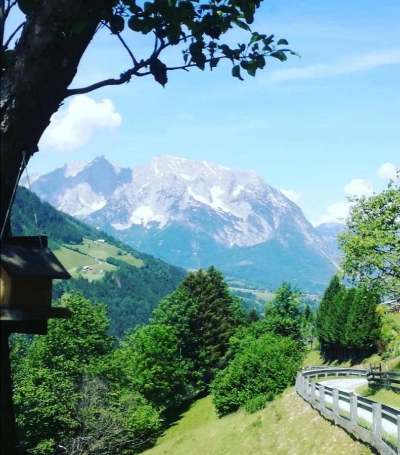 Bergblick Hollnhof Διαμέρισμα Donnersbach Εξωτερικό φωτογραφία