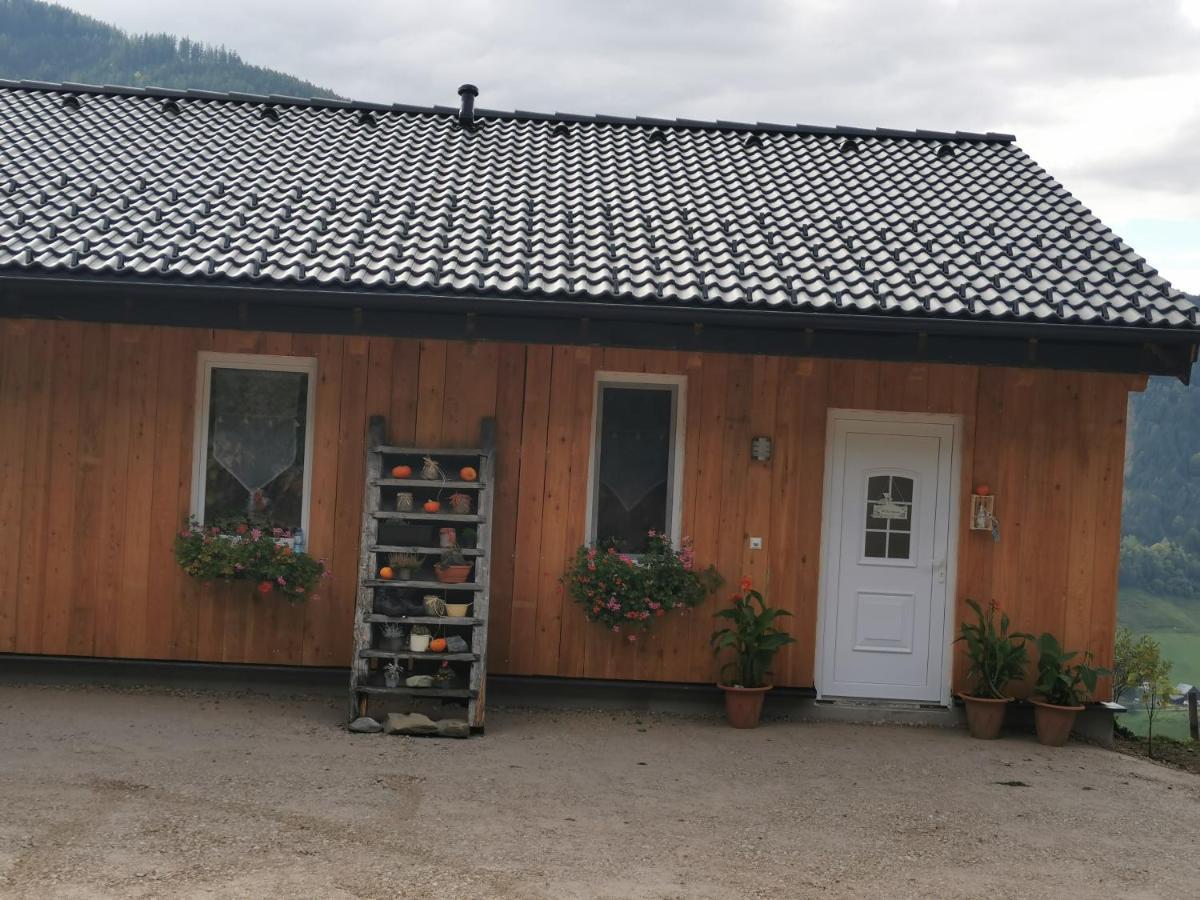 Bergblick Hollnhof Διαμέρισμα Donnersbach Εξωτερικό φωτογραφία